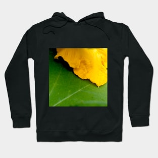 Pumpkin Blossom & Foliage Hoodie